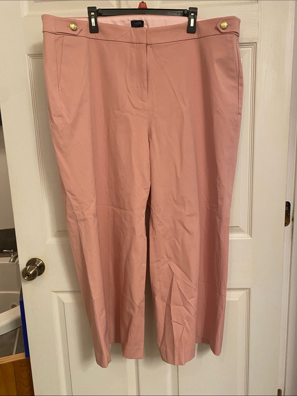 J. Crew Light Pink Sailor pants 22 NWOT